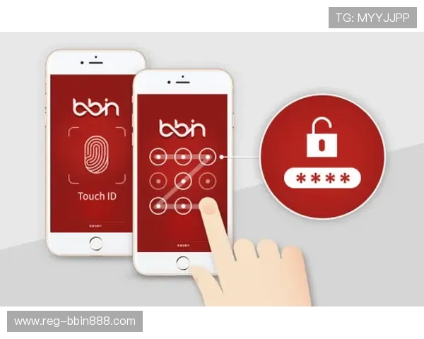 bbin下载大全安全可靠，确保用户下载安装过程中的安全性与稳定性保障