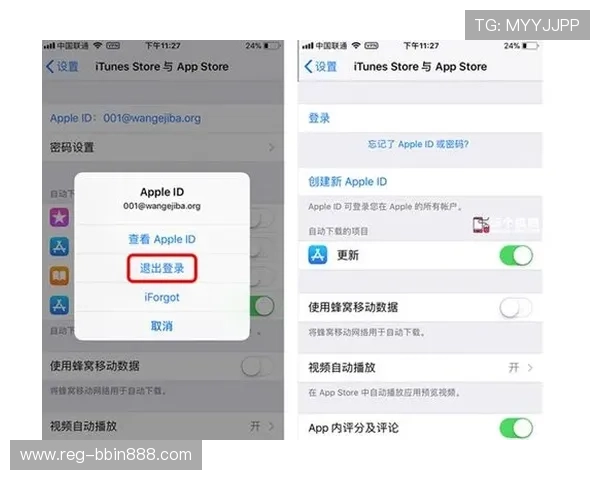 如何在苹果设备上顺利下载bbinapp官方苹果版应用教程全攻略